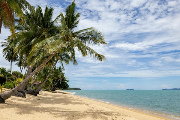 Où trouver les plus belles routes pour un road trip en Écosse?